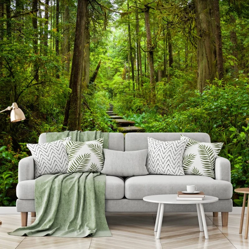 Fototapeta spokojna leśna kładka