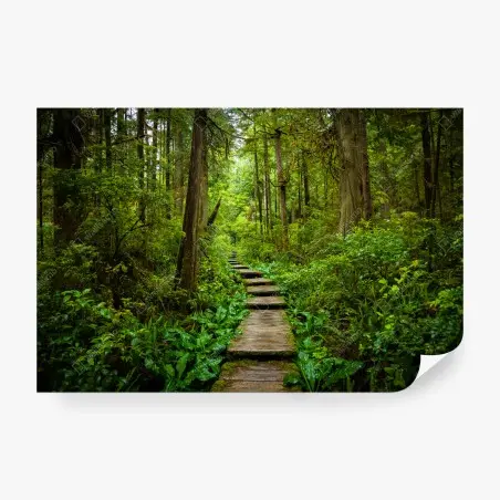 Fototapeta spokojna leśna kładka – Wallissimo®