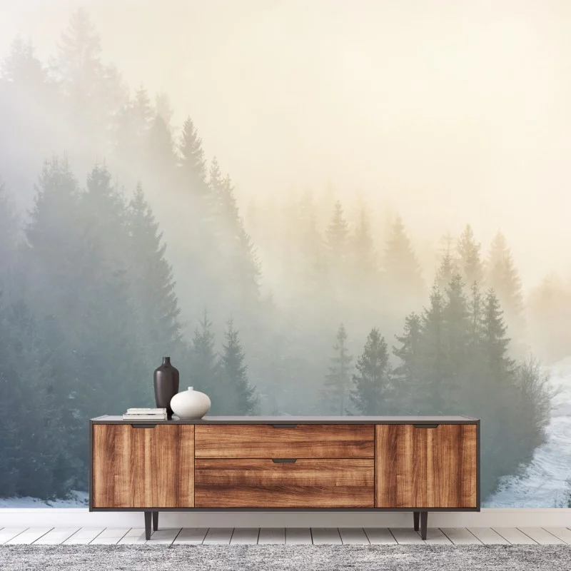 Fototapeta mglisty las świerkowy o wschodzie słońca