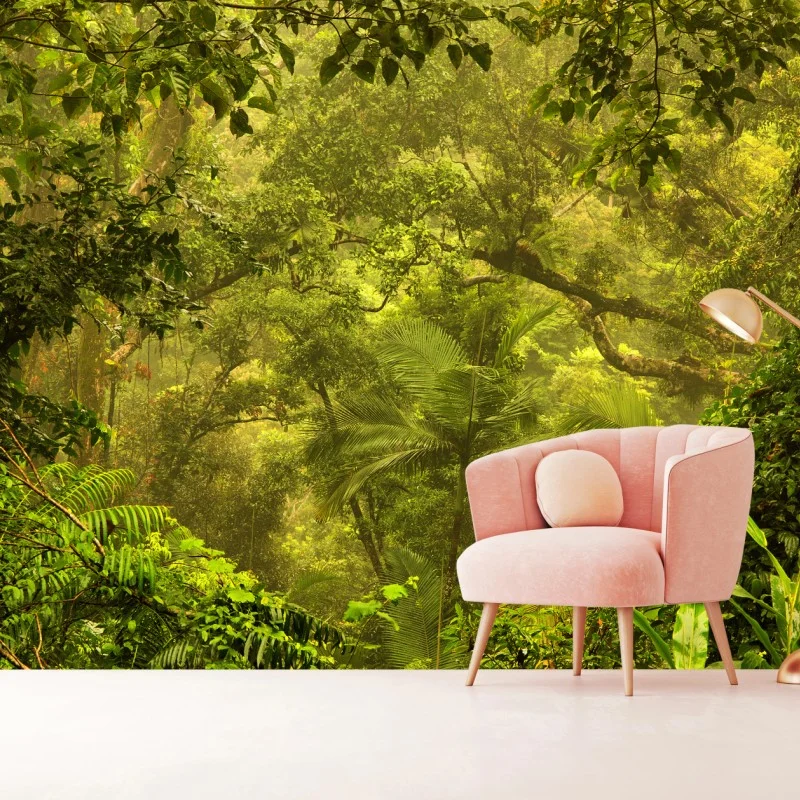 Fototapeta bujna pokrywa lasu deszczowego przy Cairns