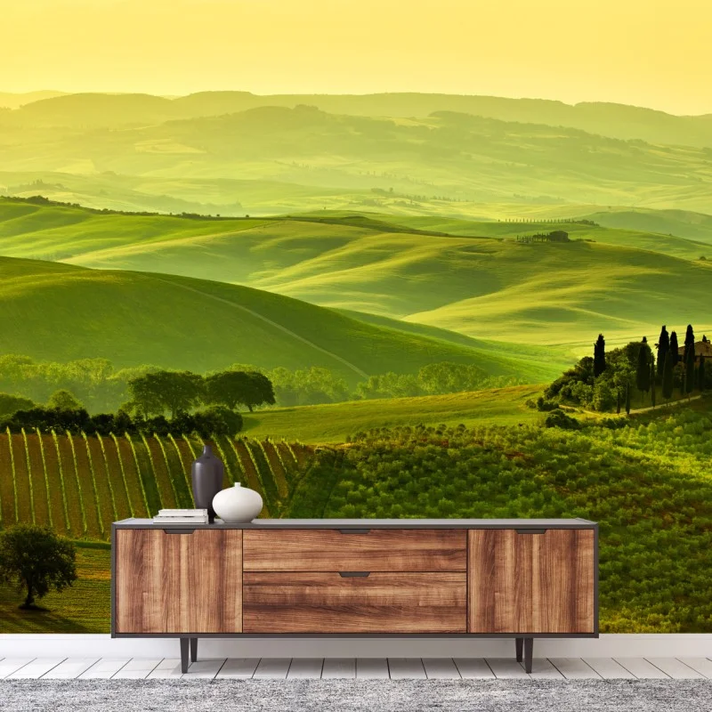 Fototapeta Toskania zielone wzgórza