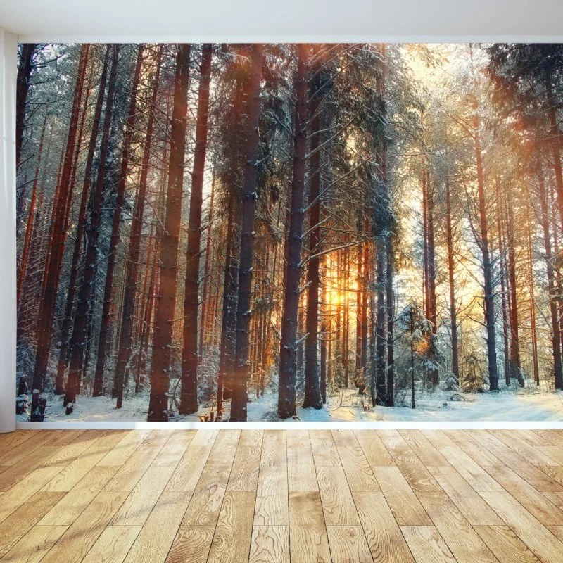 Fototapeta zimowy las o świcie