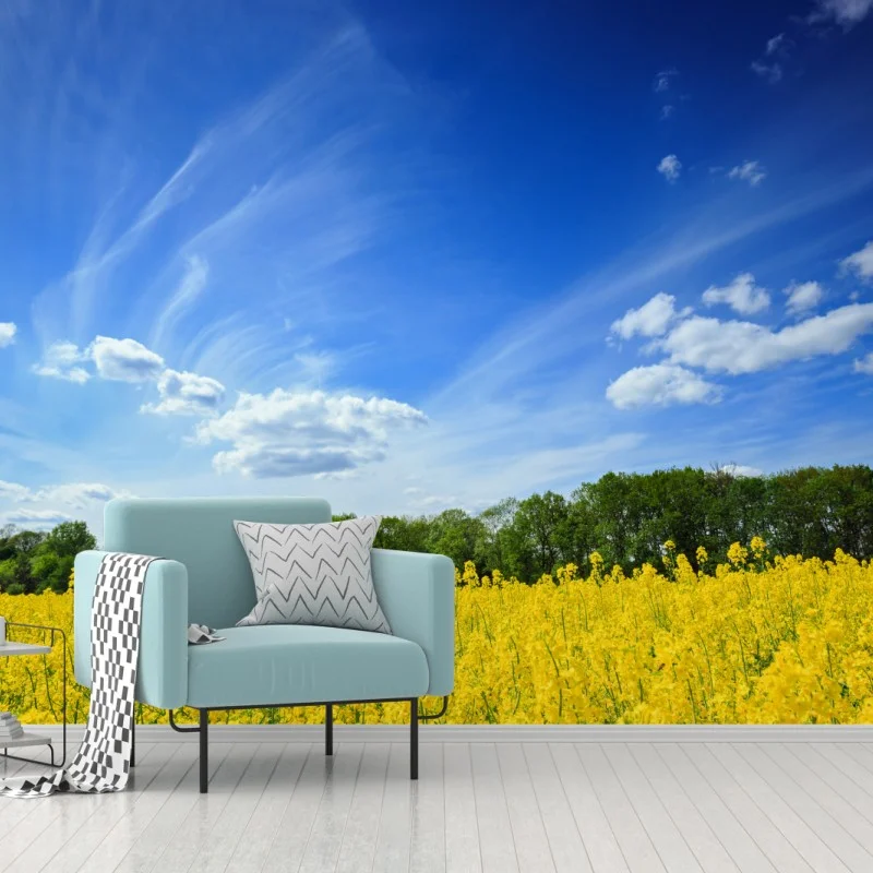 Fototapeta Polskie pole rzepaku pod błękitnym niebem