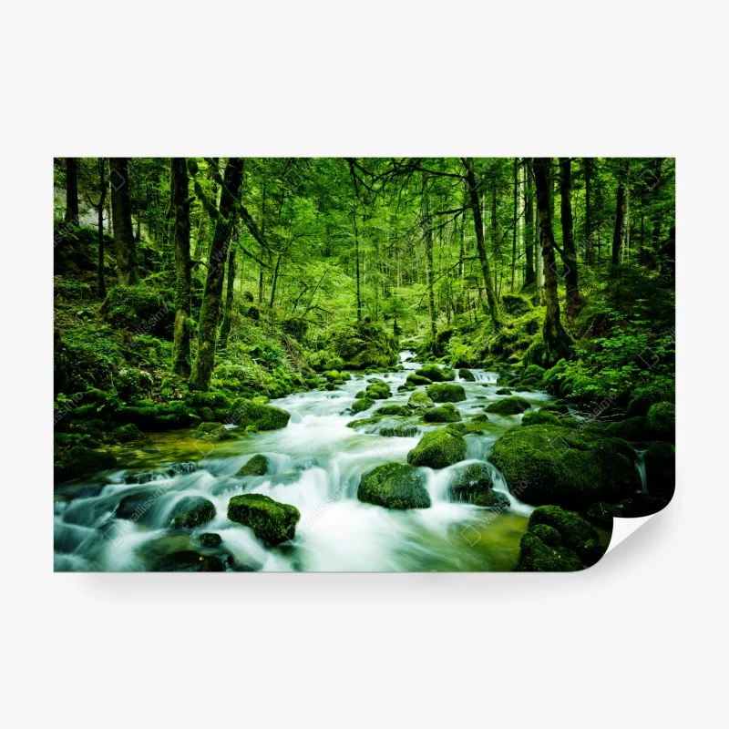 Fototapeta mechowy strumień w lesie – Wallissimo® Fototapeta mechowy strumień w lesie – Wallissimo®