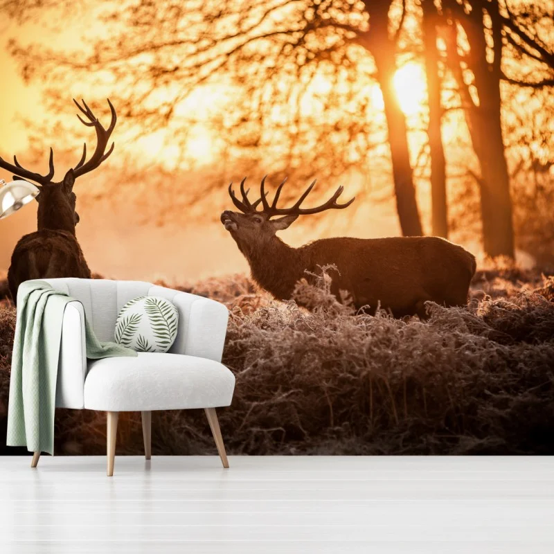Fototapeta złocisty wschód słońca z jeleniami na mroźnej łące