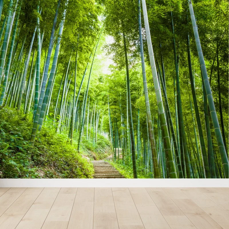 Fototapeta spokojna ścieżka w bambusowym lesie