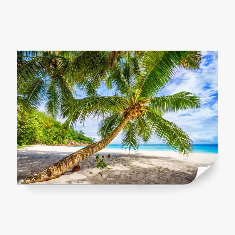 Fototapeta tropikalna palma na białej plaży