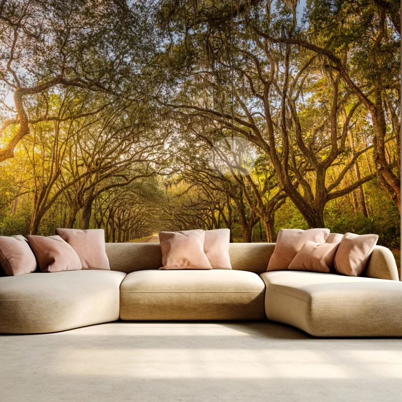 Fototapeta słoneczna aleja starych dębów przy Savannah