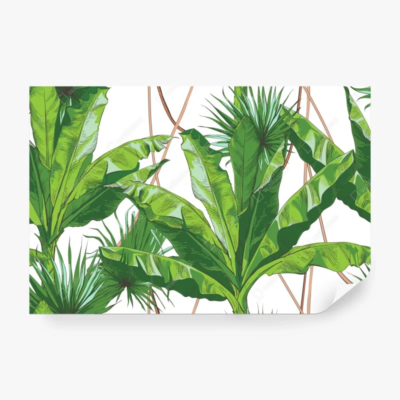 Fototapeta bujny wzór liści bananowca