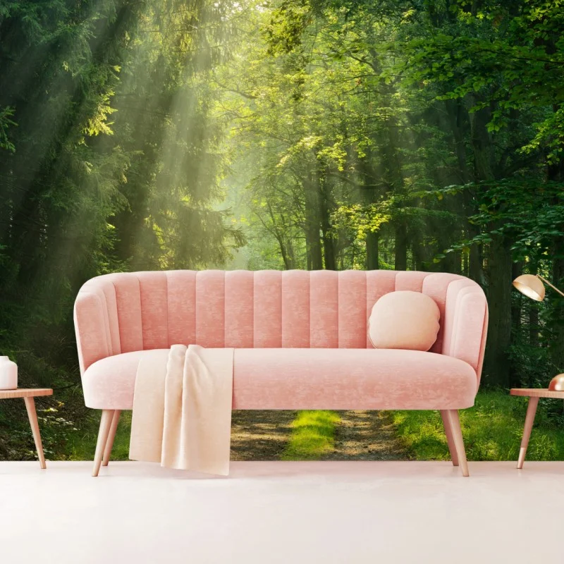 Fototapeta słoneczna ścieżka w lesie