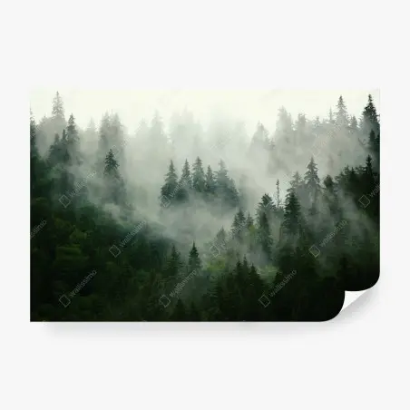 Fototapeta mglisty iglasty las – Wallissimo®