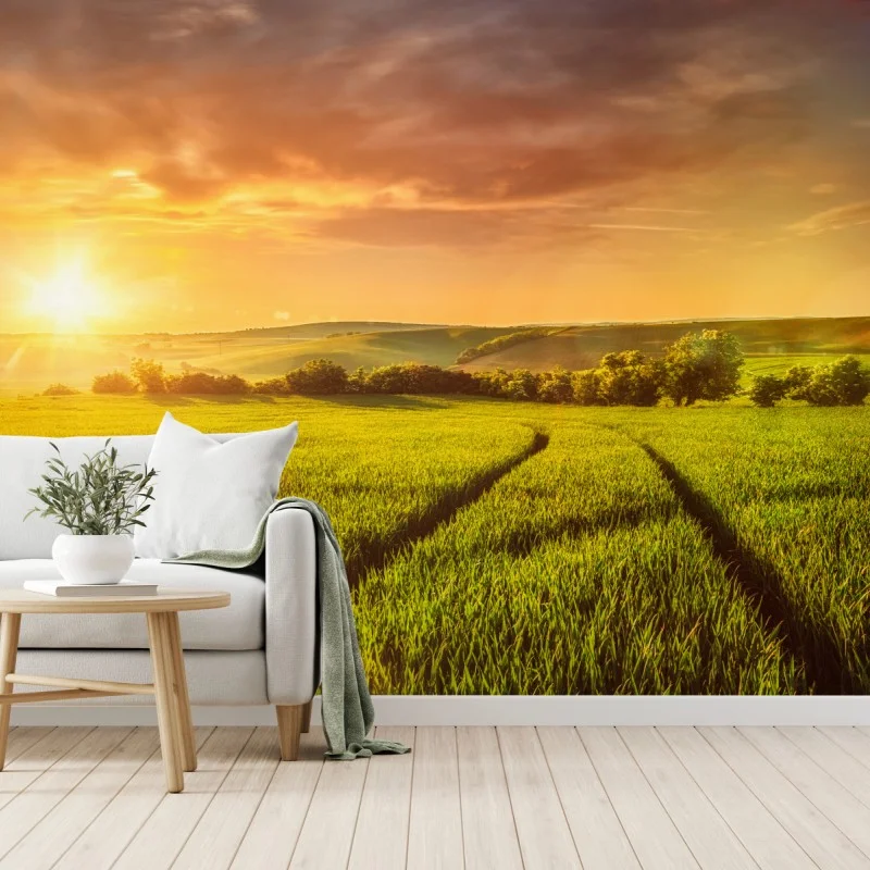 Fototapeta słoneczna łąka o zachodzie słońca