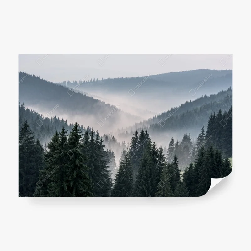 Fototapeta mglisty górski las
