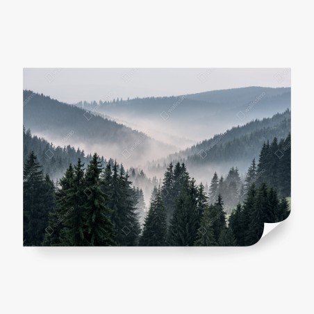 Fototapeta mglisty górski las – Wallissimo®