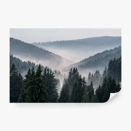 Fototapeta mglisty górski las – Wallissimo®
