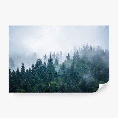 Fototapeta mglisty las iglasty – Wallissimo®