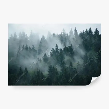 Fototapeta mglisty iglasty las – Wallissimo®