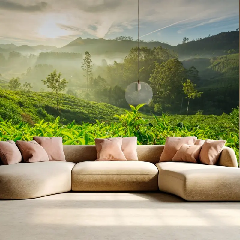 Fototapeta wschód słońca nad plantacjami herbaty w Munnar