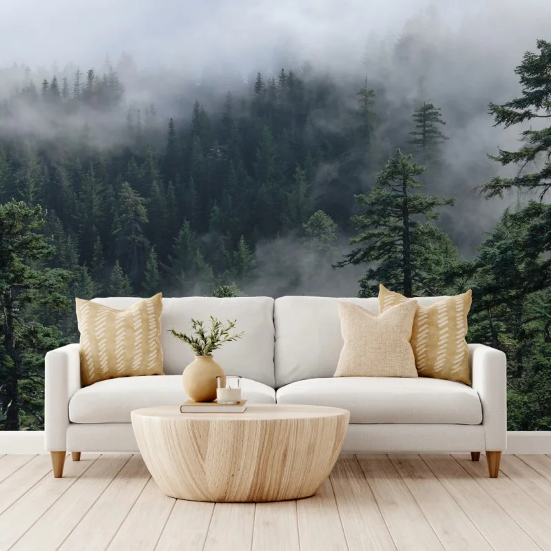 Fototapeta mglisty widok lasu z Larch Mount, Oregon