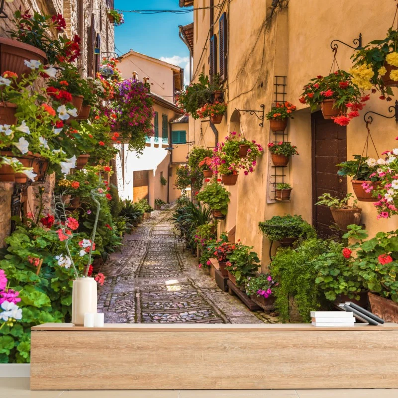 Fototapeta słoneczna kwiatowa alejka w Umbrii