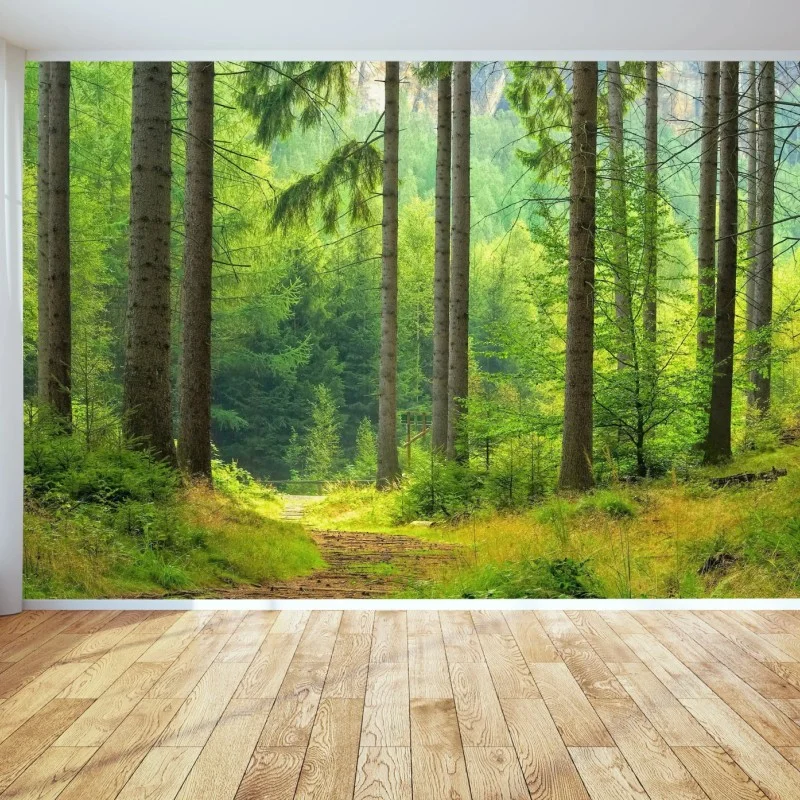 Fototapeta słoneczna ścieżka leśna – Wallissimo® Fototapeta słoneczna ścieżka leśna – Wallissimo®