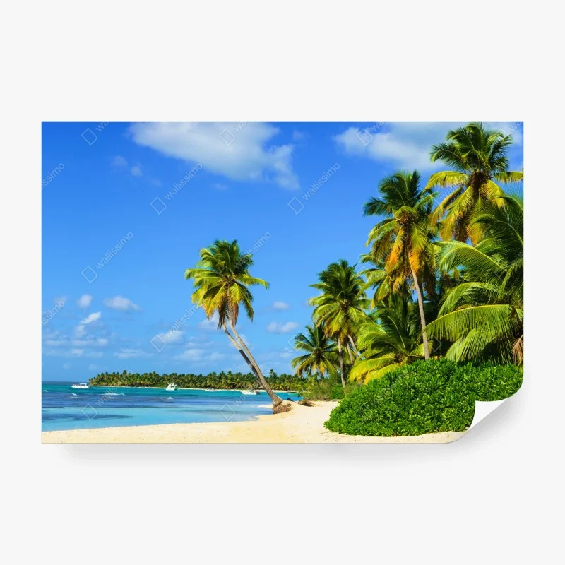 Fototapeta tropikalna plaża z palmami