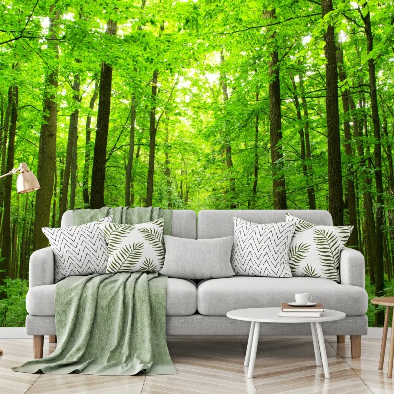 Fototapeta spokojna leśna ścieżka