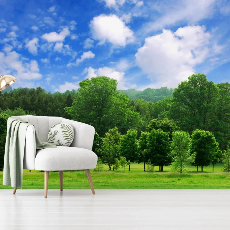 Fototapeta letni zielony las pod niebieskim niebem