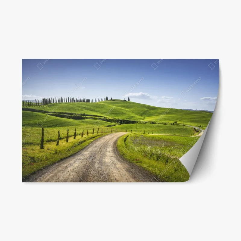 Naklejka repozycjonowalna wiejska droga w Toskanii przez zielone wzgórza