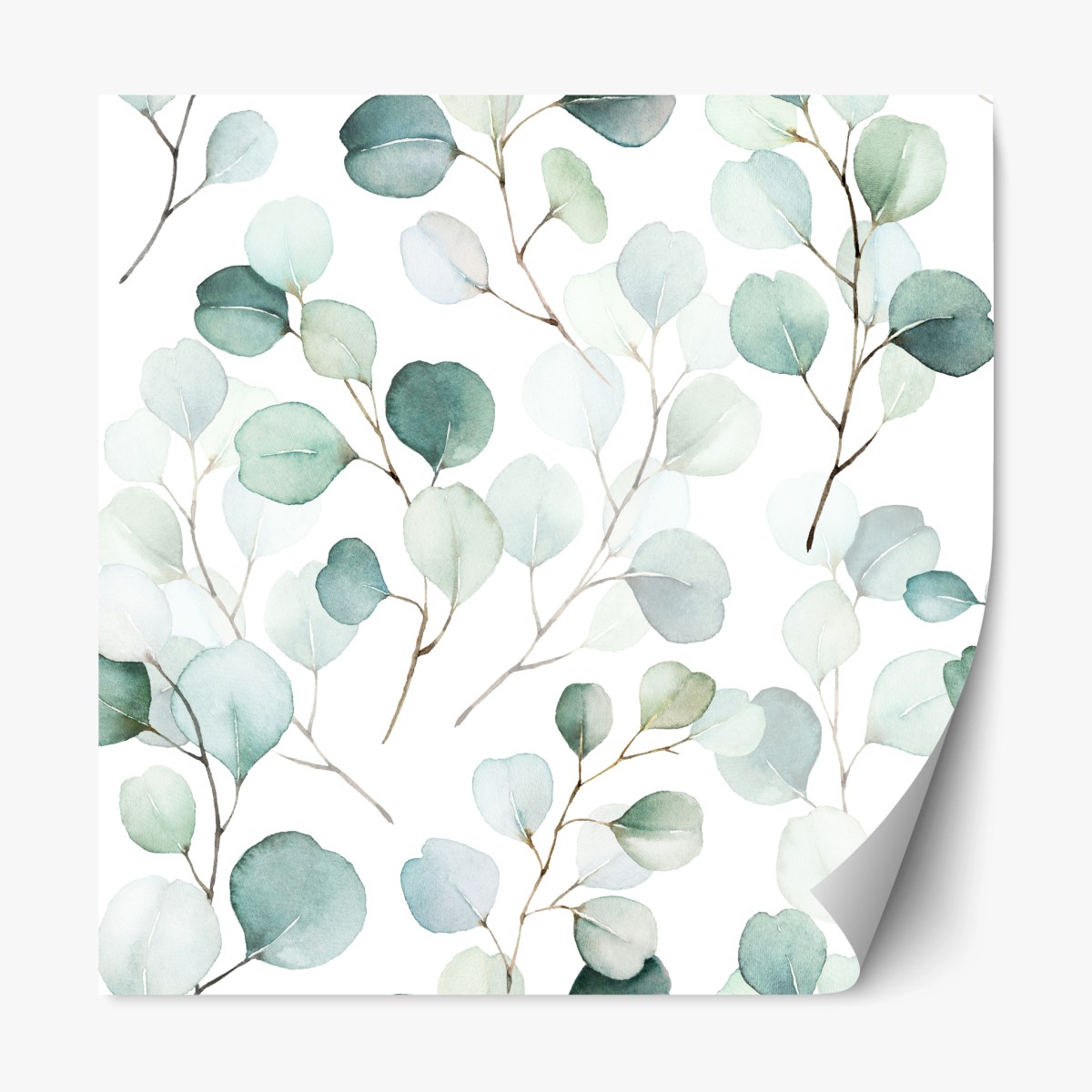 Naklejka repozycjonowalna delikatny wzór liści eukaliptusa w akwareli – Wallissimo®