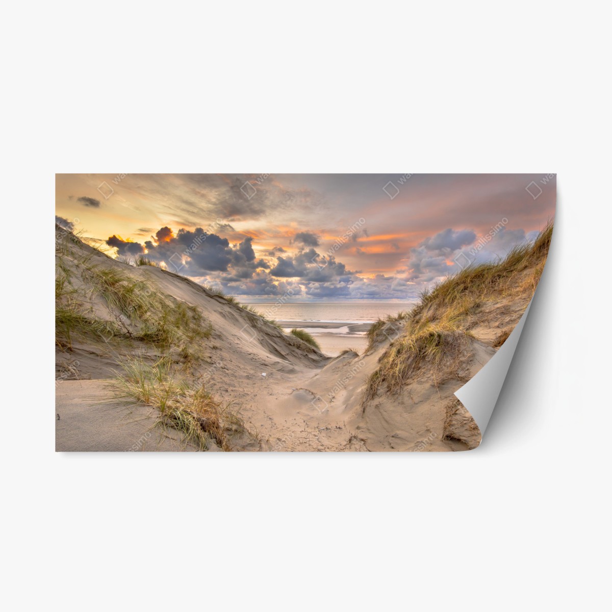 Naklejka repozycjonowalna zachód słońca nad wydmami – Wallissimo®