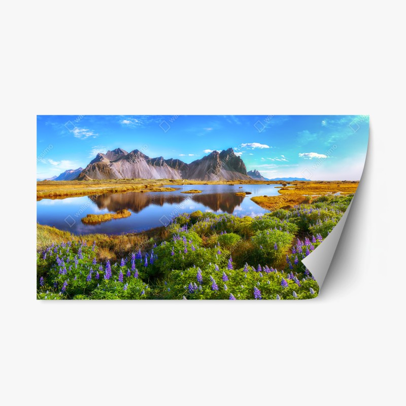 Naklejka repozycjonowalna żywe łubinowe łąki przy Vestrahorn, Islandia