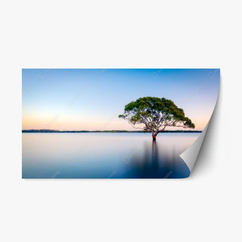 Naklejka repozycjonowalna samotne drzewo nad spokojnym jeziorem