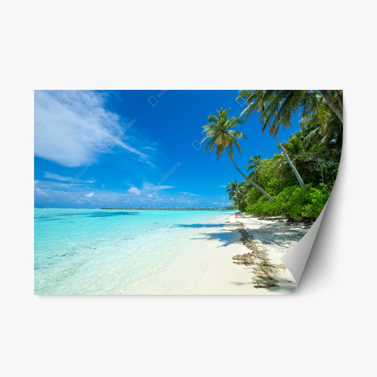 Naklejka repozycjonowalna tropikalna plaża na Malediwach – Wallissimo®