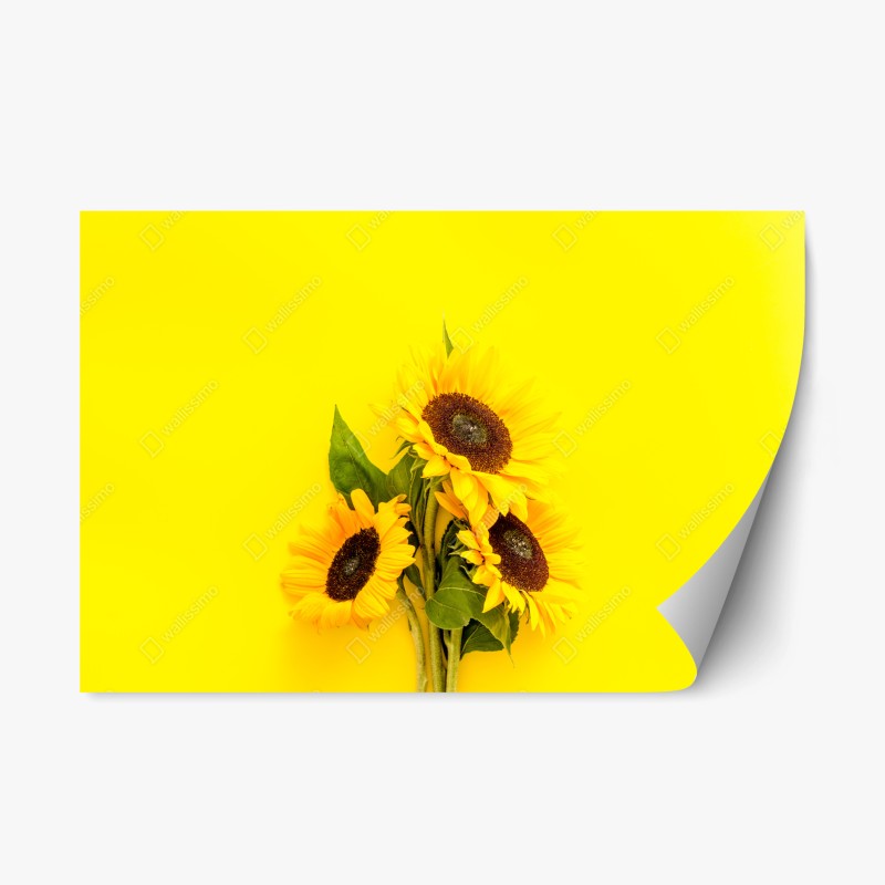 Naklejka repozycjonowalna jasny bukiet słoneczników na żółtym tle