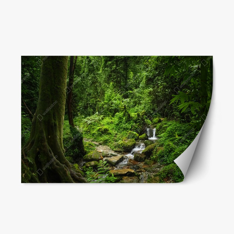Naklejka repozycjonowalna bujny zielony leśny wodospad