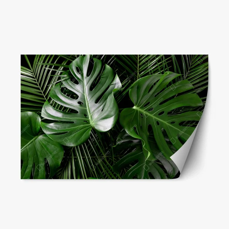 Naklejka repozycjonowalna bujne liście monstery