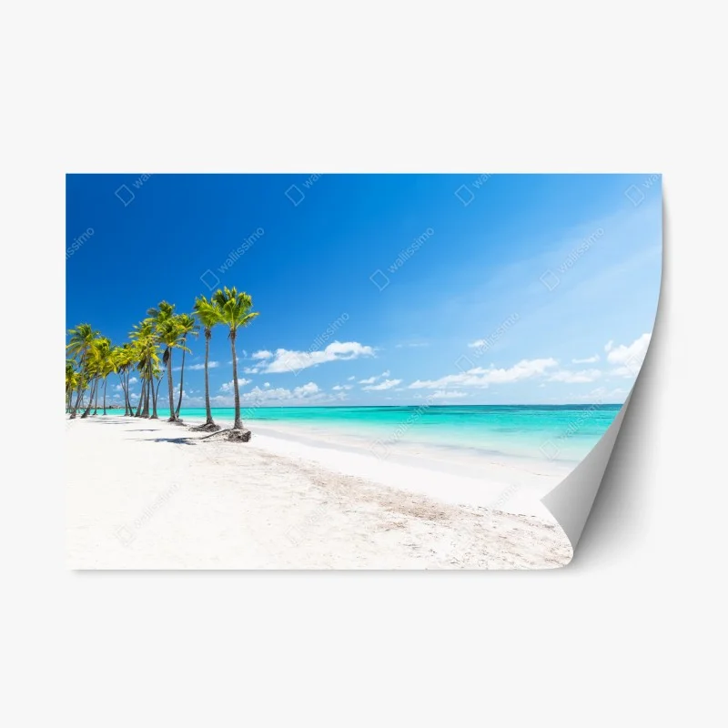 Naklejka repozycjonowalna palmy na plaży w Punta Cana