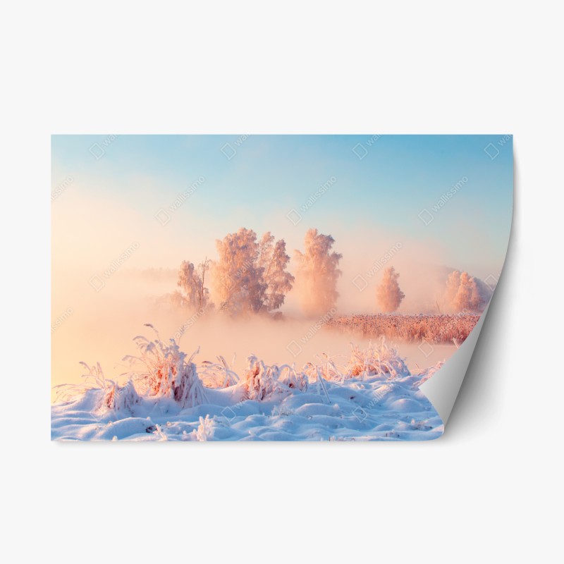 Naklejka repozycjonowalna zimowy wschód słońca nad oszronioną łąką