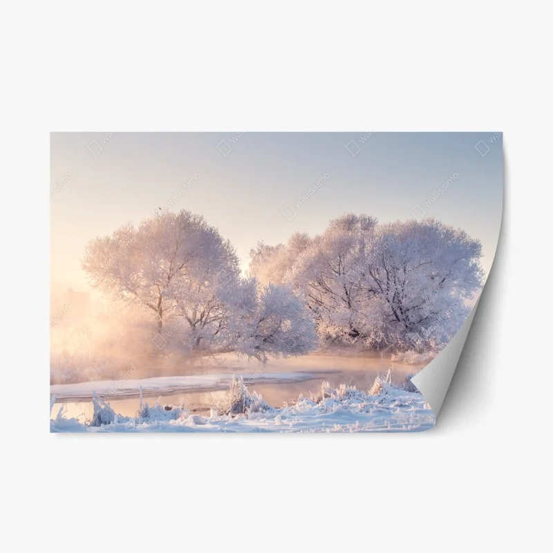 Naklejka repozycjonowalna oszronione drzewa o świcie