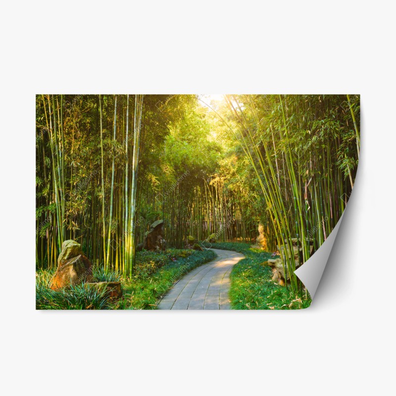Naklejka repozycjonowalna spokojna ścieżka w bambusowym lesie