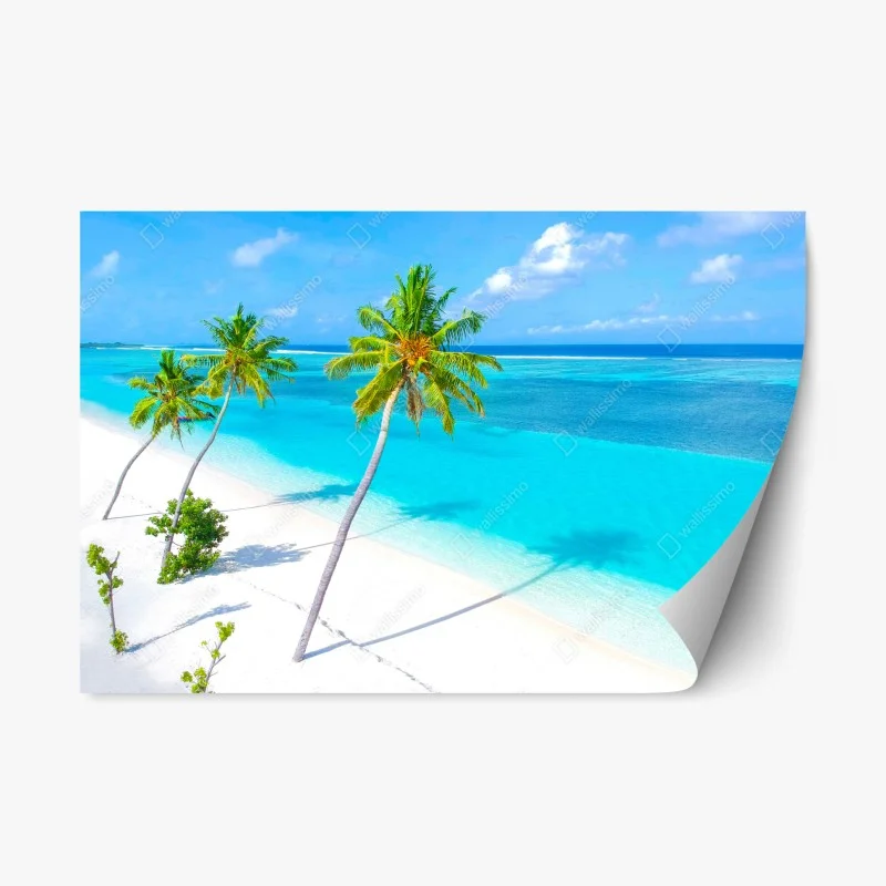 Naklejka repozycjonowalna tropikalna turkusowa plaża z palmami