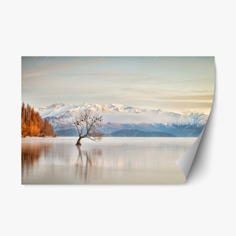 Naklejka repozycjonowalna samotne drzewo nad jeziorem Wanaka