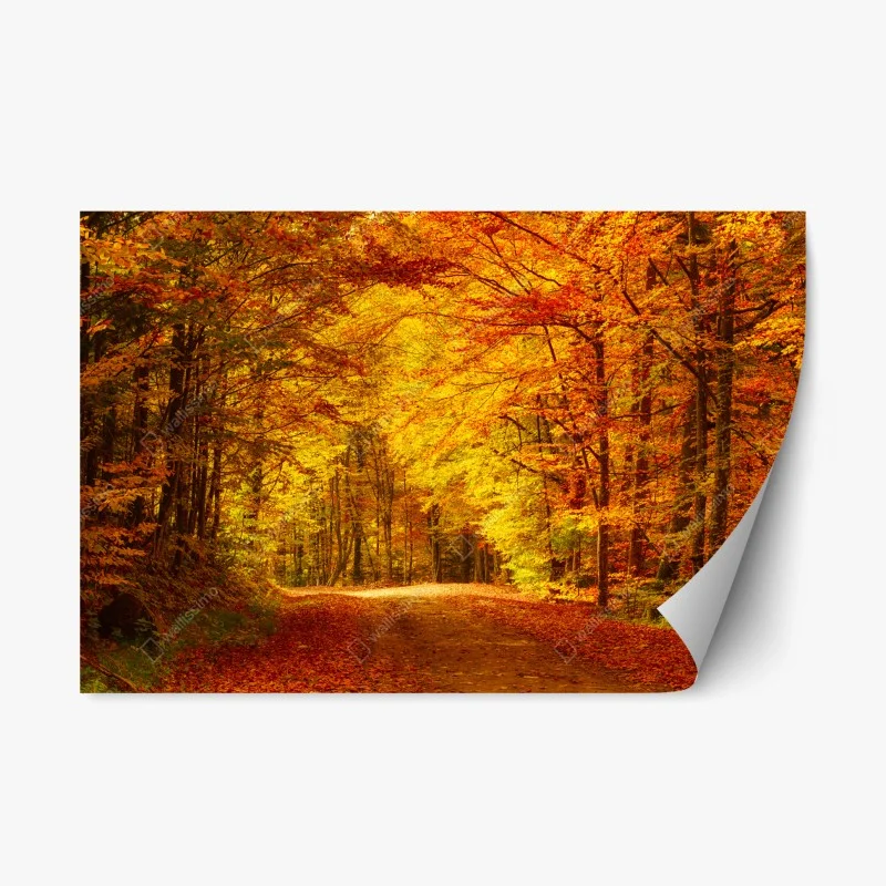 Naklejka repozycjonowalna złota jesienna ścieżka w lesie