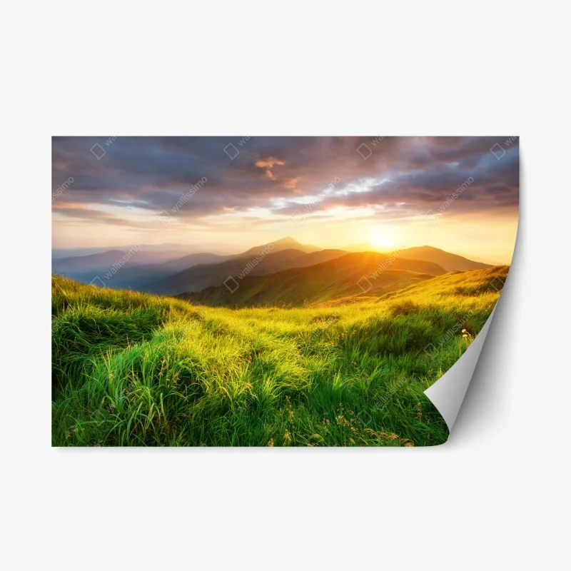 Naklejka repozycjonowalna słoneczna górska łąka o wschodzie słońca