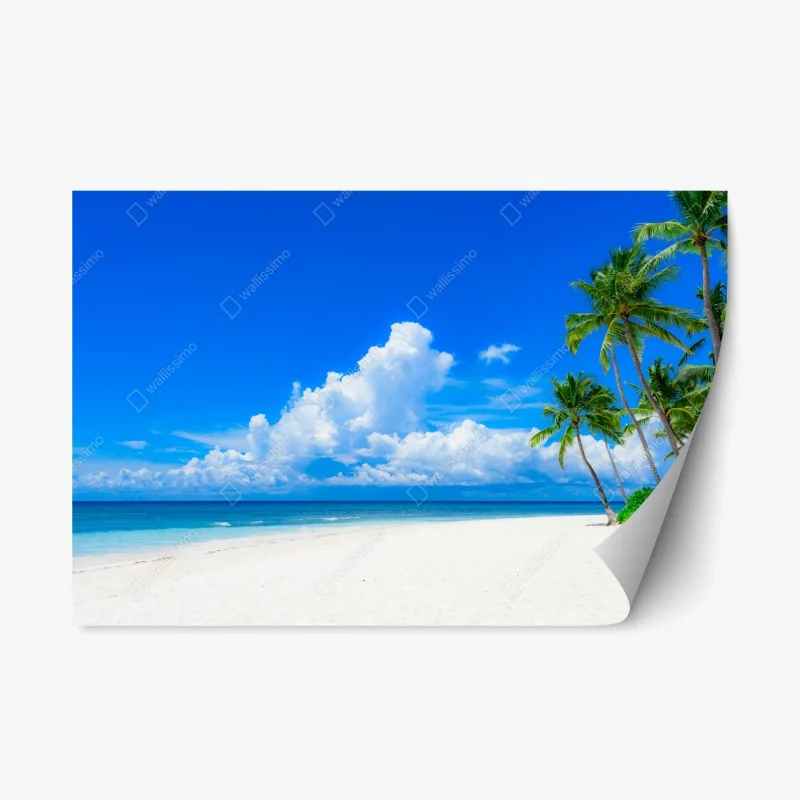 Naklejka repozycjonowalna tropikalna plaża z palmami pod błękitnym niebem