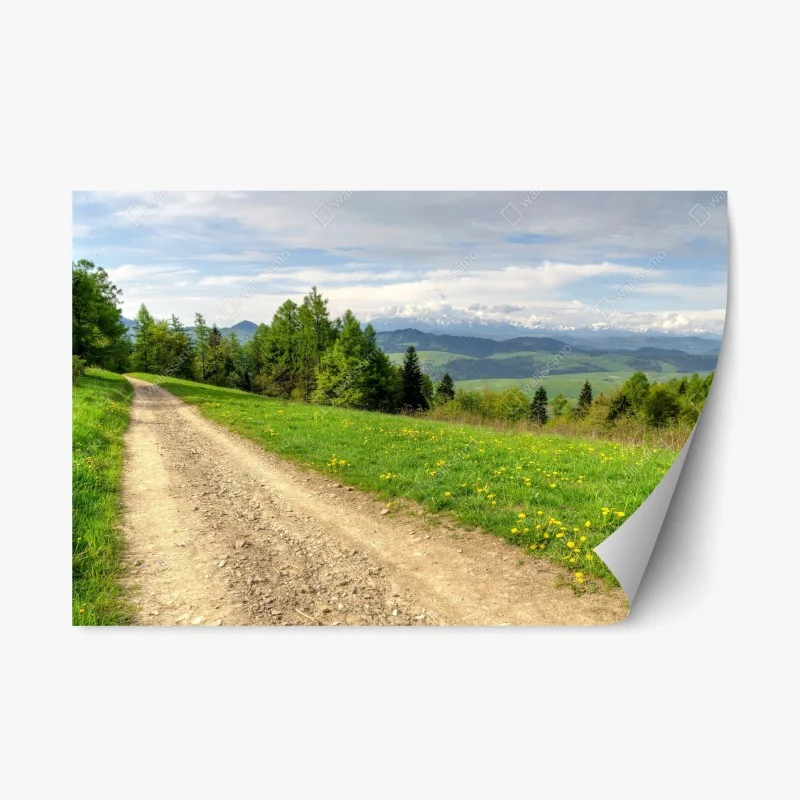 Naklejka repozycjonowalna Gorce wiosenny szlak