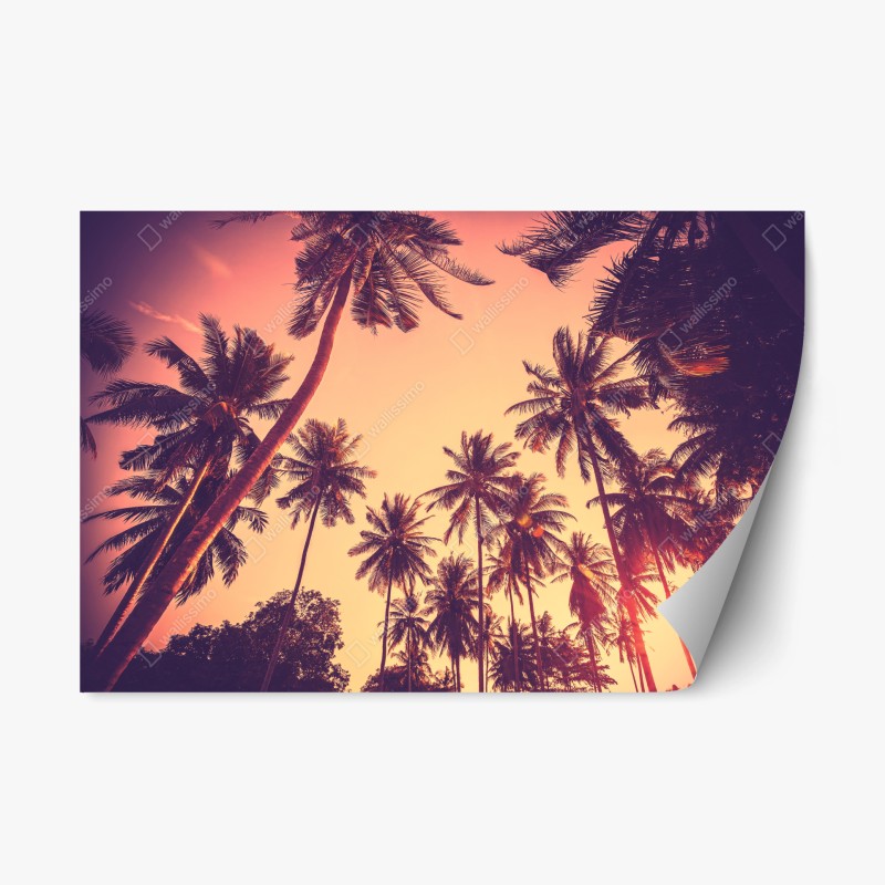 Naklejka repozycjonowalna vintage tropikalny zachód słońca z palmami
