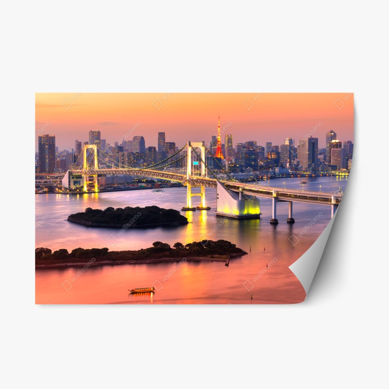 Naklejka repozycjonowalna Tokio panorama o zachodzie słońca