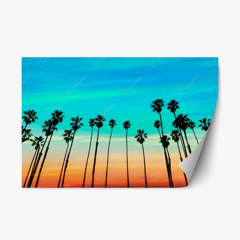 Naklejka repozycjonowalna palmy o zachodzie słońca w Kalifornii